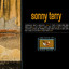 Blind Sonny Terry cover