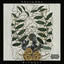 Venere