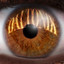 Farbenblind (Intro)