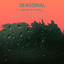 zZz Seasonal Monsoon: Weather Sounds from the Forest zZz cover