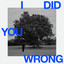 I Did You Wrong - Laurence Guy Remix