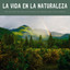 La Vida En La Naturaleza: Una Relajante Secuencia De Sonidos Del Bosque Para La Paz Interior cover