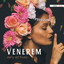 Venerem
