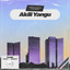 Akili Yangu artwork