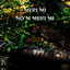 Meri Mi No'm Meri Mi cover