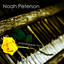 Noah Peterson - Embraceable You