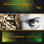 Remember the Lights - Extended Mix