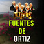 Fuentes de Ortiz cover