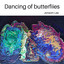 Dancing of Butterfiies A cover