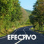 Perreo Efectivo V*l 01 - La Mojana - Alvaro