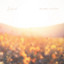 Michael Logozar - Daybreak (Solo Piano Version)