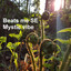 Mystic Vibe cover