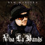 Bam Margera Presents: Viva La Bands, Vol. 2 cover