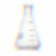 Erlenmeyer