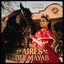Judith P. Romero y s*s Rosas Meridianas - Aires del Mayab