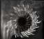 UNRAVELING cover