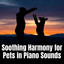 Soothing Harmony for Pets in Piano Sounds cover