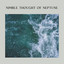 Nimble Thought of Neptune cover