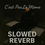 C'est Pas Le Même (Slowed Reverb)
