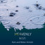 zZz Heavenly Mist: Rain and Water Amidst the Marsh zZz cover