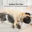 Ambient Pet Calm: Serene Rain for a Soothing Environment cover
