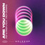 Are You Down (feat. Troy Denari) - Extended Mix