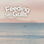 Feeding Sea Gulls cover