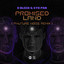 Promised Land (Phuture Noize Remix) - Extended Mix