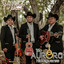 Si el Amor Se Va cover