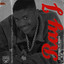 Ray J cover