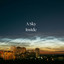 A Sky Inside
