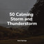 50 Ambient Rain Sounds for Meditation and Sleep cover