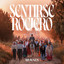 Single 2026 Braynes - Sentirse rociero