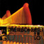 Live Session Two cover