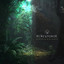 Expansion - Mementomor
