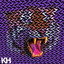 Unknown Title cover