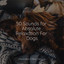 50 Sounds for Absolute Relaxation For Dogs cover