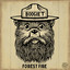 Forest Fire