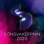Söngvakeppnin 2020 cover