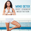 Mind Detox – Deep Summer Meditation: Energy Flow, Peaceful Retreat, Karmic Influence, Calm Dream, Personal Growth, Healing Vibes cover