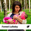 Forest Lullaby cover