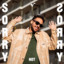 Thierry Ganz; Pleij - Sorry Not Sorry