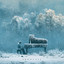 Snowfall - Eric Rohr, David Peter Vestin