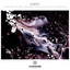 Marimba - Robag Wruhme Dimona Negeff NB Remix