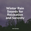 Winter Rain Sounds for Relaxation and Serenity cover