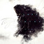 Left In The Dark cover