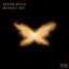 Without You - Extended Mix