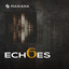 Echoes 6 cover