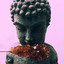 Lost cover
