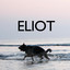 Eliot artwork